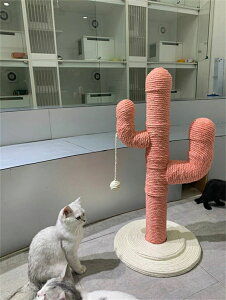 L^[ Lp ܂ƂT{e^ lR|[  芪  ߂Ƃ L̖  gȒP qL^L