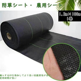 防草シート 人工芝 雑草 芝生 DIY 草 庭 雑草シート ロール 雑草防止シート 除草シートガーデニング 庭 田んぼ 畑 農用シート 草よけシート 雑草防止 砂利下