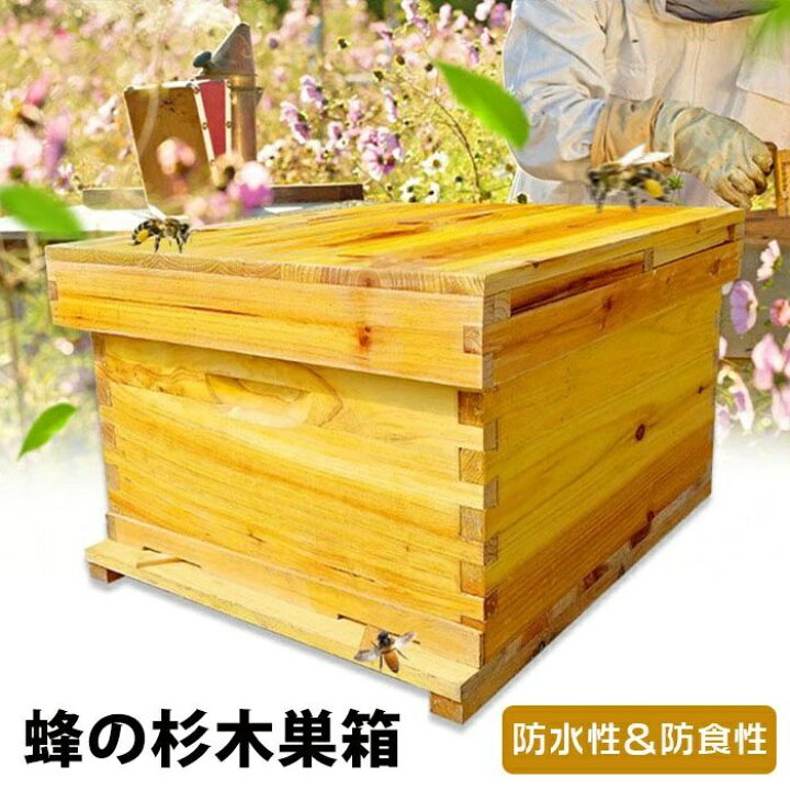 楽天市場】蜂の巣箱 ペット ペットグッズ 昆虫 飼育セット 養蜂箱養蜂 