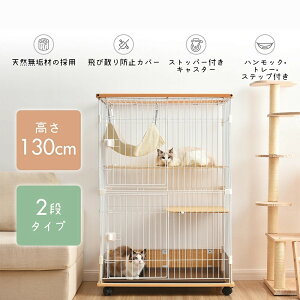 2025V ׂ @OX[v@܂肽 rbg oXPbgS[ RpNg[  O V OV Ԃ xr[ c q a j v[g