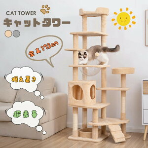 Lbg^[ u^ ؐ ȃXy[X R ܂Ƃ   FD  t  ܂Ƃ{[ LbgnEX ybgpi 2023V