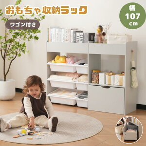 yVoz[bN G{I [ bN 107cm ᔠ  St e gJ^ [bN  qǂ [{bNX ؐ o ߋ 