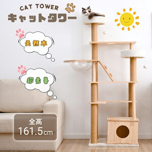 Lbg^[ u^ ؐ ȃXy[X R ܂Ƃ   FD  t  ܂Ƃ{[ LbgnEX ybgpi 2023V