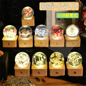 ԃ{[ ԃCg NX^{[ KX iCgCg LED USB[d 6.5cma{[ o hCt[ vU[uht[ 铔 ドCg v[g a Mtg lC 蕨