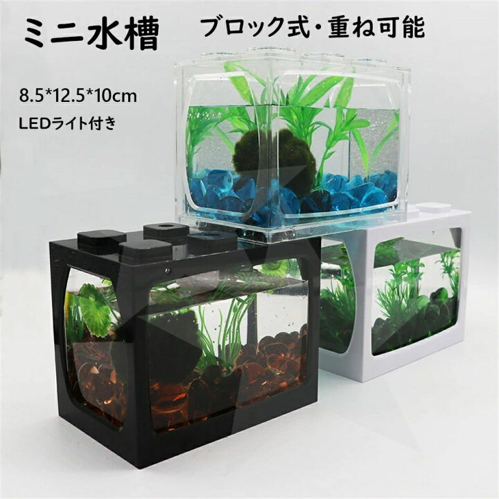 楽天市場】ミニ水槽 ブロック水族館 水槽セット アクアリウム 魚飼育 