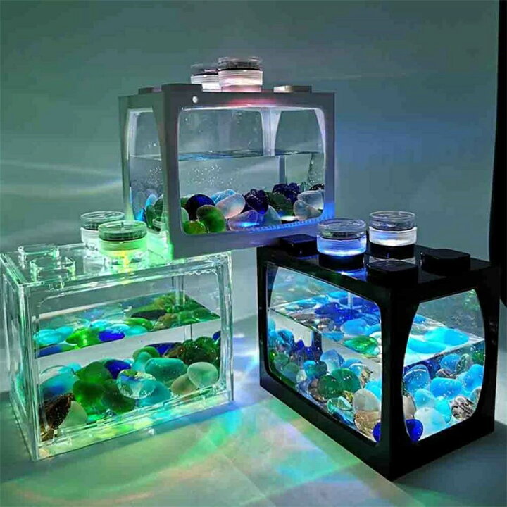 楽天市場】ミニ水槽 ブロック水族館 水槽セット アクアリウム 魚飼育 