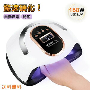 lC Cg led uvCg ledCg WFlCCg 168W _ ZT[ XCb` ^C}[ q[g[h WNtg WFlChC[ dp W 葫p