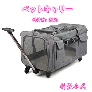 ybgL[ bN LX^[t L Lp L[ J[g  ^ ybg bNL[obO ܂肽 ʋC LpybgL[obO LX^[t U s 