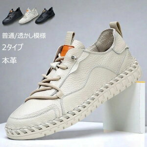 fbLV[Y {v RtH[gV[Y Y U[V[Y JWAV[Y v EH[LOV[Y j ʋC hCrOV[Y C Xj[J[  t@bV