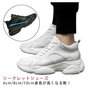 Xj[J[ 6cm gup V[Y V[Nbg 8cm 10cm Y Xj[J[ wȂC  Cq[ V[Y C K JWA ^C ʋCQ ₷ gAbv Vv V