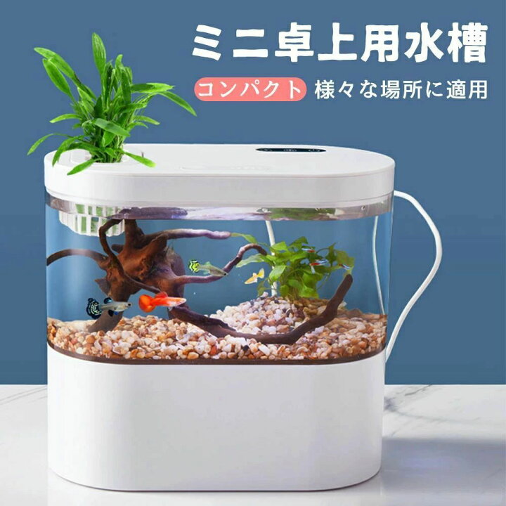 楽天市場】LEDライトフィルターポンプ付き水槽セットアクアリウム 