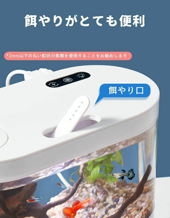 楽天市場】LEDライトフィルターポンプ付き水槽セットアクアリウム 
