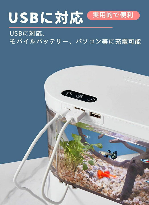 楽天市場】LEDライトフィルターポンプ付き水槽セットアクアリウム 