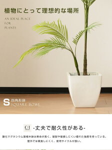 Aؔ  ^Aؔ y y 󂯎M M  Op p ^ Jo[ OsO Xg A K[f v[g  k ɂ₳  ꌊL R R