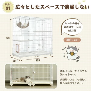 L P[W LbgP[W 2i L݌v Rgݍ킹 LhAt nbNt ^ LQ[W   LbgnEX lR