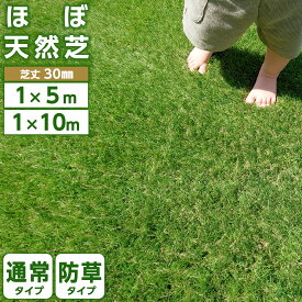 人工芝 ロール 1m×10m 1m×5m 35万本 防草タイプあり 高密度 高耐久 芝丈30mm リアル人工芝 芝ロール 芝マット UVカット 庭 ベランダ テラス 屋上 ガーデニング ガーデン フェイク芝生 U字ピン 防草シートタイプ