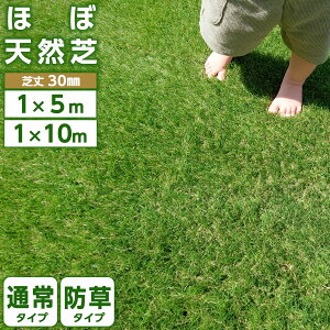 lH [ 1m×10m 1m×5m 35{ h^Cv x ϋv ŏ30mm AlH Ń[ Ń}bg UVJbg  x_ eX  K[fjO K[f tFCNŐ Us h