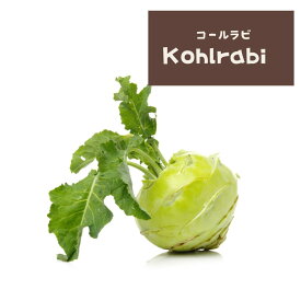 【野菜の種】コールラビの種 Kohlrabi　10粒　育て方の説明書付き　ガーデン ガーデニング 野菜の種 野菜　家庭菜園　　農業　サラダ 夏蒔き インスタ 丸い レアシード 美味しい 変わった