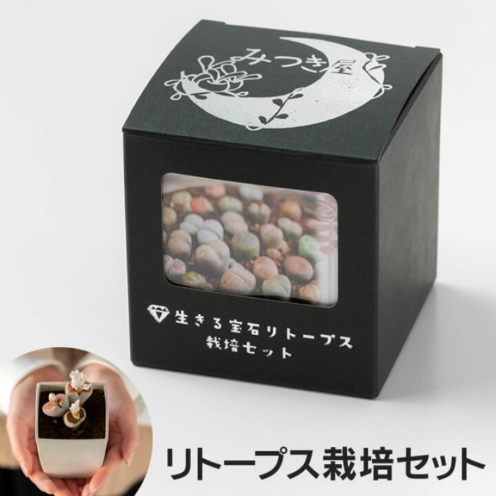 楽天市場 多肉植物 生きる宝石 リトープスmix栽培セット 栽培セット 簡単育成 自由研究 種 可愛い 送料無料 生きる宝石 多肉 観葉植物 Succulents Cactus サボテンプレゼント 贈答 趣味の園芸 みつき屋