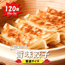 【九州工場から直送】 三桃旨味餃子 120個セット 20個 入り × 6袋 小分け 冷凍庫 餃子 ぎょうざ ギョウザ 生餃子 大容量 国産 キャベツ ニラ 弁当 おかず 冷凍食品 中華総菜 ビール おつまみ お取り寄せ お取り寄せグルメ 三桃食品 送料無料