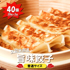 【九州工場から直送】 三桃旨味餃子 40個セット 20個 入り × 2袋 小分け 冷凍庫 餃子 ぎょうざ ギョウザ 生餃子 大容量 国産 キャベツ ニラ 弁当 おかず 冷凍食品 中華総菜 ビール おつまみ お取り寄せ お取り寄せグルメ 三桃食品 送料無料