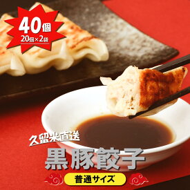 【九州工場から直送】 黒豚餃子 40個セット 20個 入り × 2袋 小分け 冷凍庫 餃子 ぎょうざ ギョウザ 生餃子 大容量 国産 黒豚 キャベツ ニラ 弁当 おかず 冷凍食品 中華総菜 ビール おつまみ お取り寄せ お取り寄せグルメ 三桃食品 送料無料