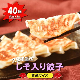 【九州工場から直送】 しそ入り餃子 40個セット 20個 入り × 2袋 小分け 冷凍庫 餃子 ぎょうざ ギョウザ 生餃子 大容量 国産 しそ キャベツ ニラ 弁当 おかず 冷凍食品 中華総菜 ビール おつまみ お取り寄せ お取り寄せグルメ 三桃食品 送料無料