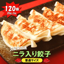 【九州工場から直送】 ニラ入り餃子 120個セット 20個 入り × 6袋 小分け 冷凍庫 餃子 ぎょうざ ギョウザ 生餃子 大容量 国産 キャベツ ニラ 弁当 おかず 冷凍食品 中華総菜 ビール おつまみ お取り寄せ お取り寄せグルメ 三桃食品 送料無料