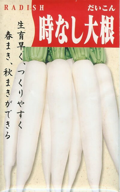 ダイコン 種 たね 和歌山大根 1袋（10ml） 大根 野菜たね YTC10
