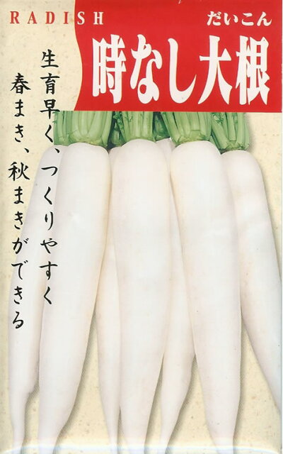 ダイコン種 時なし大根 (10ml)だいこん 大根:みつのぶ ダイコン 種 たね 和歌山大根 1袋(10ml) 大根 野菜たね YTC10