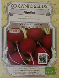 ���L�@��q�y�@���f�B�b�V�� / ��\���卪 / �[�g���E���h�^�C�v�@�z���� �i�͔|�p ��q ���؁j