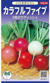 楽天市場 ラディッシュ 種 カラフルの通販