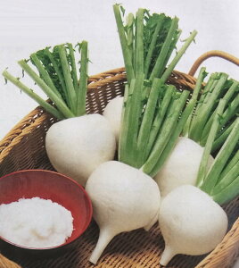 _CRy@hV@zRF i͔|p q 卪  ^LCj