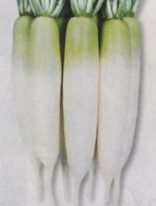 _CRy@@z20ml i͔|p q 卪  ^LCj