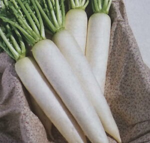 _CRy@gbvi[@zDF i͔|p q 卪  ^LCj