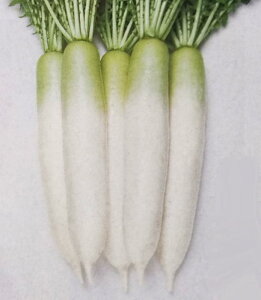 _CRy@╗@z2dL i͔|p q 卪  YҌ ^LCj