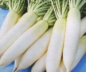 _CRy@ϕa@zi͔|p q 卪  ^LCj