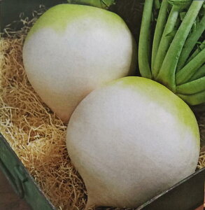 _CRy@萹@@zDF i͔|p q 卪  ^LCj