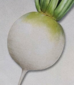 _CRy@~ǂ萹@@zDF i͔|p q 卪  ^LCj