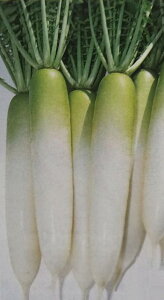 _CRy@s@zRF i͔|p q 卪  ^LCj