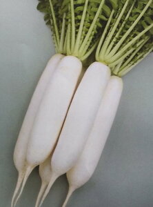 V6{ȍ~ח\_CRy@đo@zTJ^̃^l