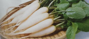 �n�c�J�_�C�R����y�@�Ꮼ���@�z�T�J�^�̃^�l