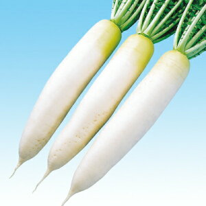 _CRy@Ȃ͂@zi͔|p q 卪  j