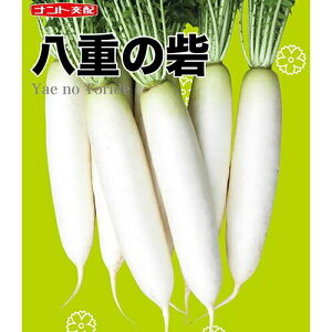 q1000E8000r_CRy@d̍ԁ@zigc