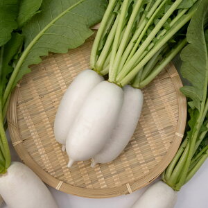 _CRy@F1Êق@z܁i͔|p q@a_j