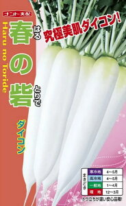 q1000E8000r_CRy@t̍ԁ@zigc