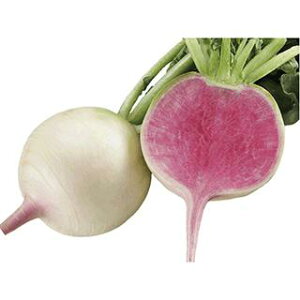 _CRy@gc卪@z i͔|p q 卪 񂾂@a_j