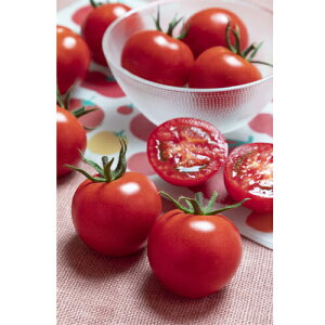 V12ȍ~ח\蒆ʃg}gy@TYteBJSC@z^LCc