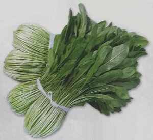 ミズナ 種の人気商品 通販 価格比較 価格 Com