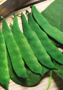 CQy@邠 bR@z1L i͔|p q 邠肢񂰂 B YҌ ^LCj